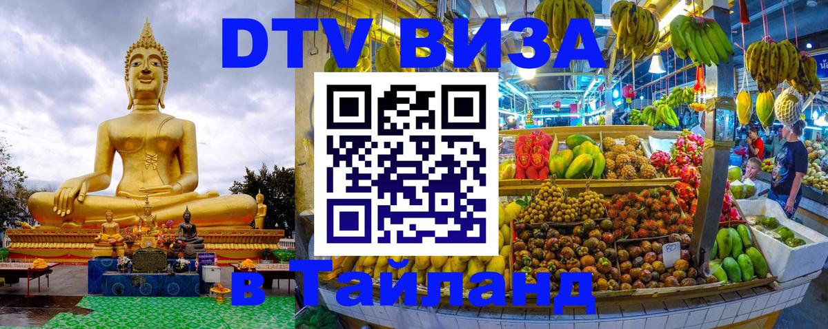 Оформление DTV визы под ключ: стоимость и тарифы, только загранпаспорт - 05.10.2025 